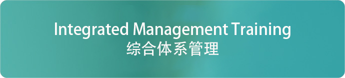 综合体系管理